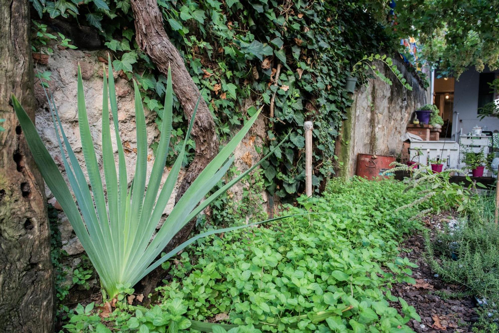 ホテル Casa Babbuino ヴェローナ エクステリア 写真
