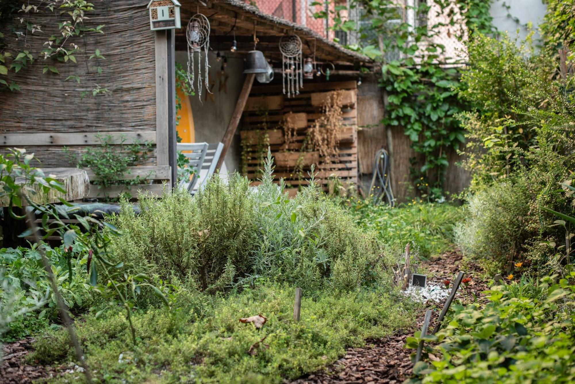 ホテル Casa Babbuino ヴェローナ エクステリア 写真